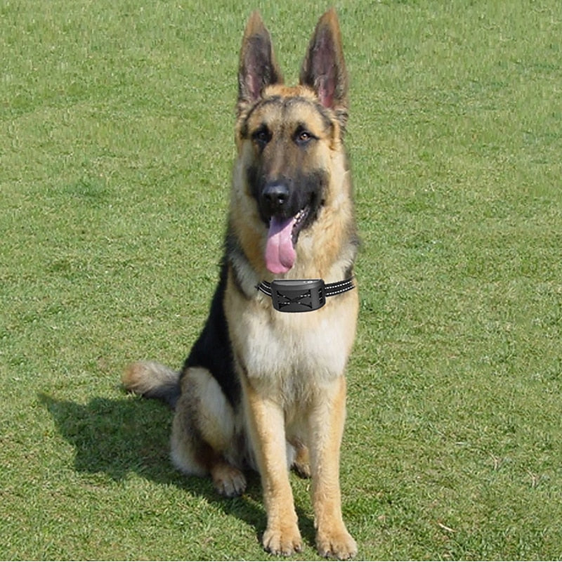 Advanced Wireless Dog Fence System with Collar, 9–240 Meters