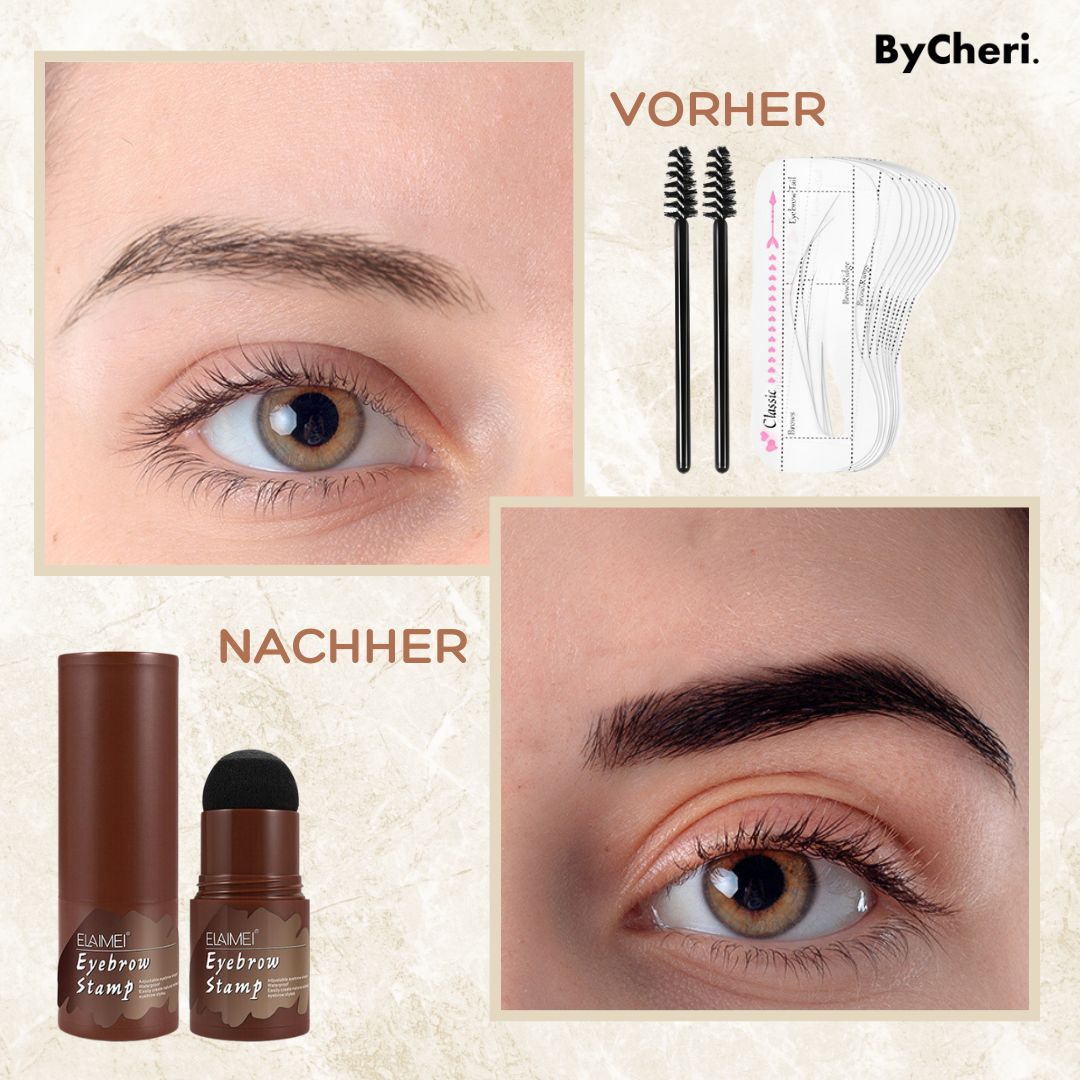 Ultimate Eyebrow Shaping Kit with Stencils and Stamp