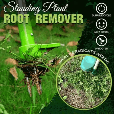 Ultimate Root Remover Tool | Stainless Steel | Tri-Prong Design