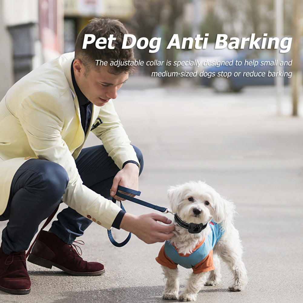 Vibration Training Collar for Bark Control