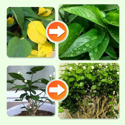 Nourish Your Plants with Precision | Easy Nutrient Delivery | GrowWell