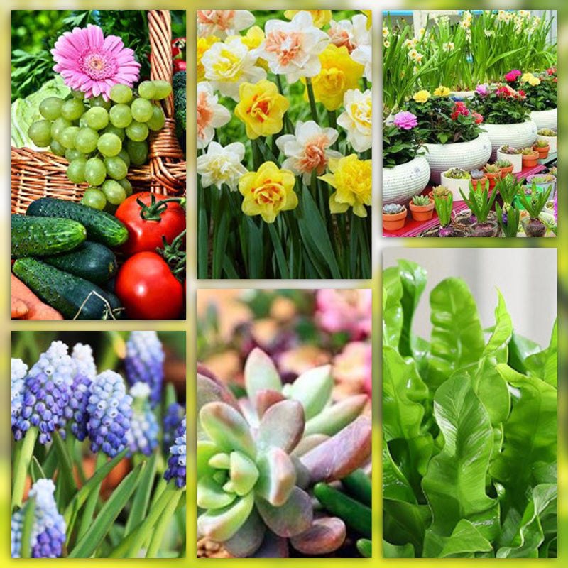 Nourish Your Plants with Precision | Easy Nutrient Delivery | GrowWell