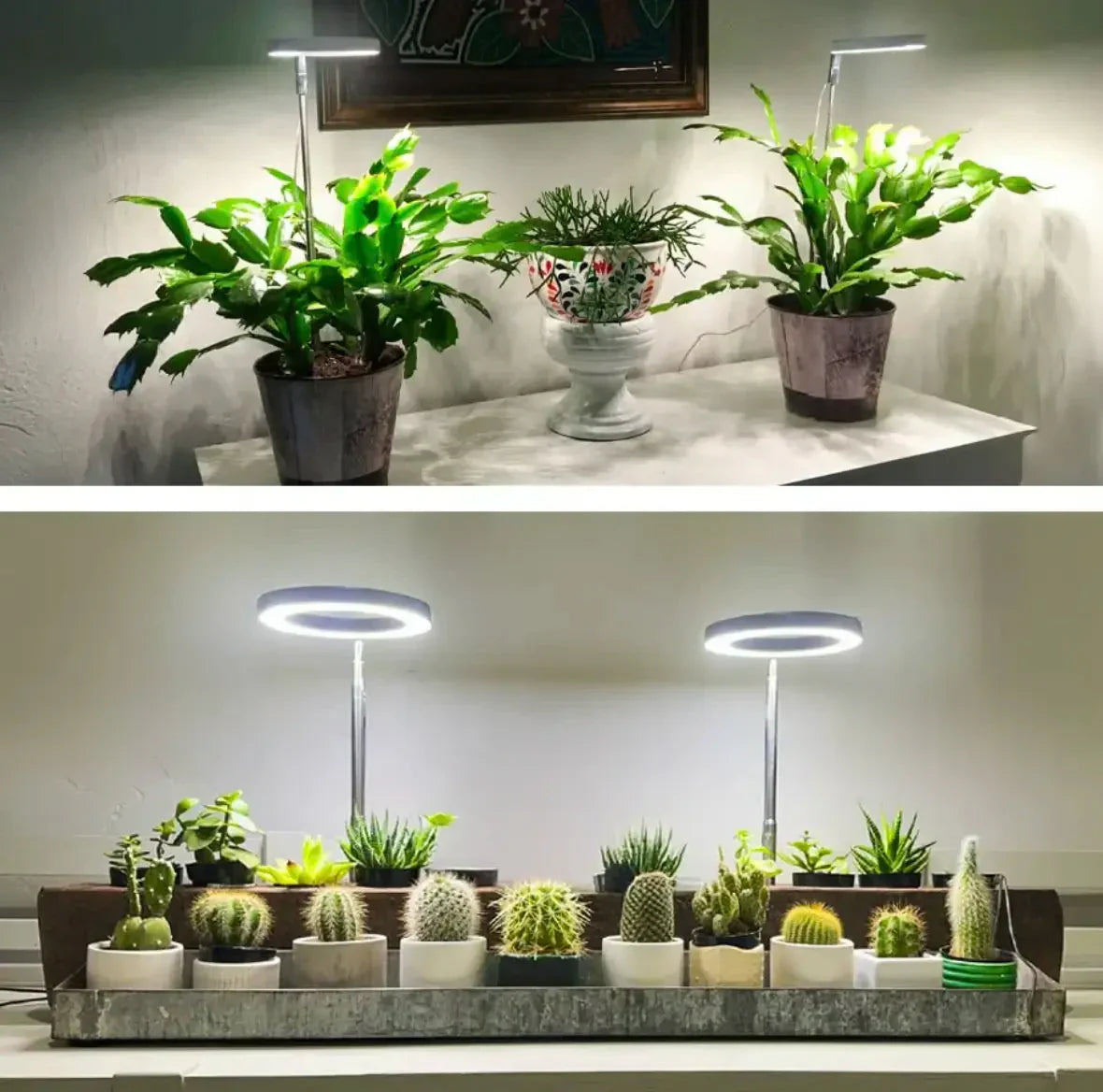 Illuminate Your Indoor Garden | Full Spectrum Growth Light