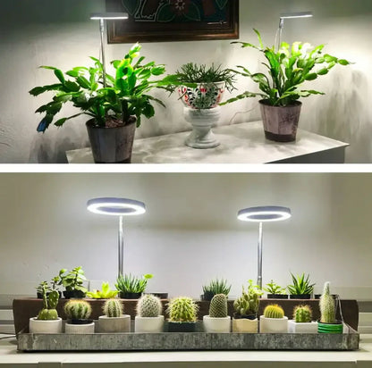 Illuminate Your Indoor Garden | Full Spectrum Growth Light