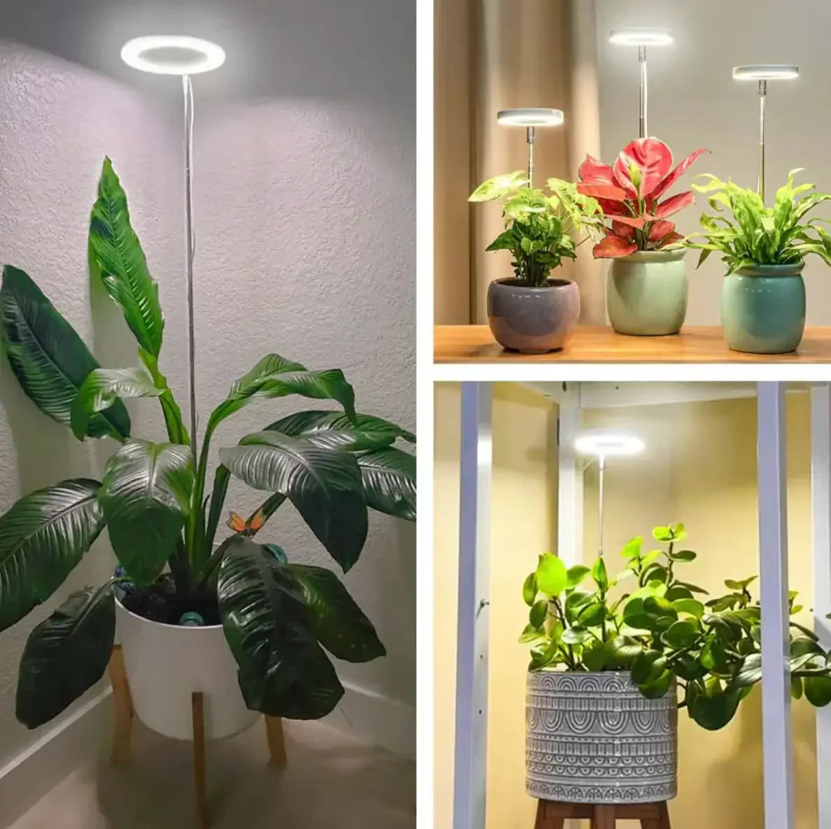 Illuminate Your Indoor Garden | Full Spectrum Growth Light