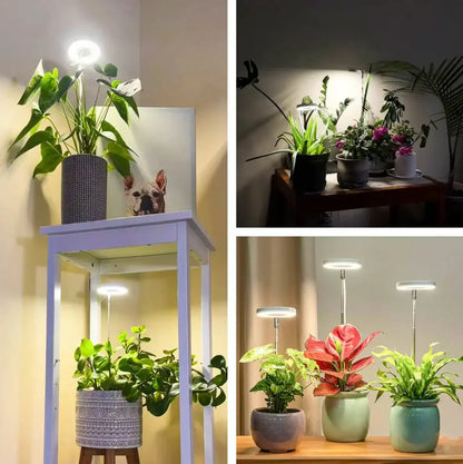 Illuminate Your Indoor Garden | Full Spectrum Growth Light