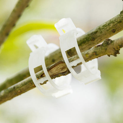 Eco-Friendly Plant Support Clips | 1 Inch Diameter | Reusable