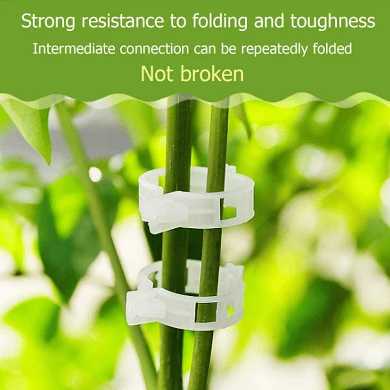 Eco-Friendly Plant Support Clips | 1 Inch Diameter | Reusable