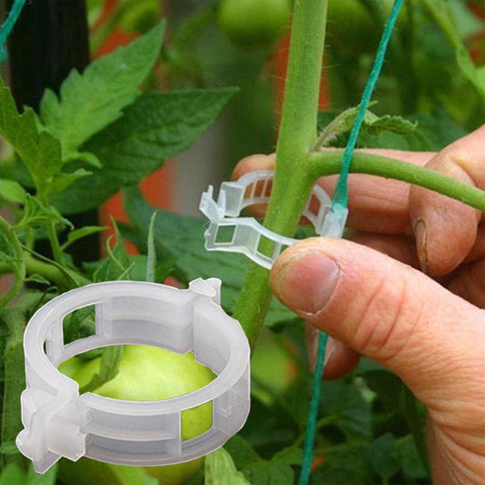 Eco-Friendly Plant Support Clips | 1 Inch Diameter | Reusable
