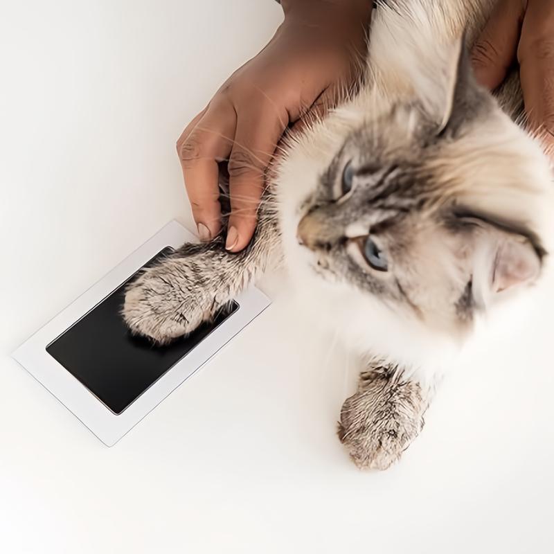 Paw Print Keepsake Kit for Cherished Memories