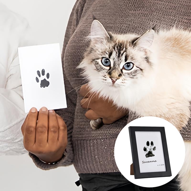 Paw Print Keepsake Kit for Cherished Memories
