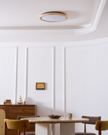 Modern Ceiling Lights with Round LED Design for Stylish Interiors