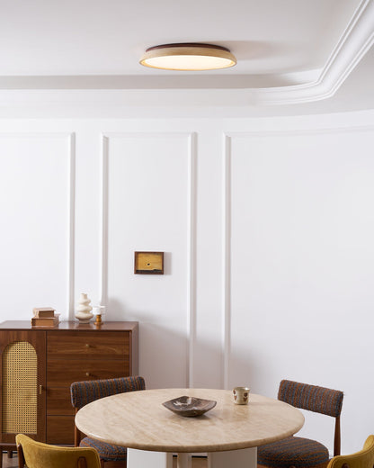 Modern Ceiling Lights with Round LED Design for Stylish Interiors