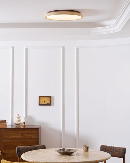 Modern Ceiling Lights with Round LED Design for Stylish Interiors