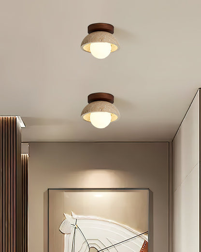 Ceiling Lighting Fixtures for a Natural Elegant Look