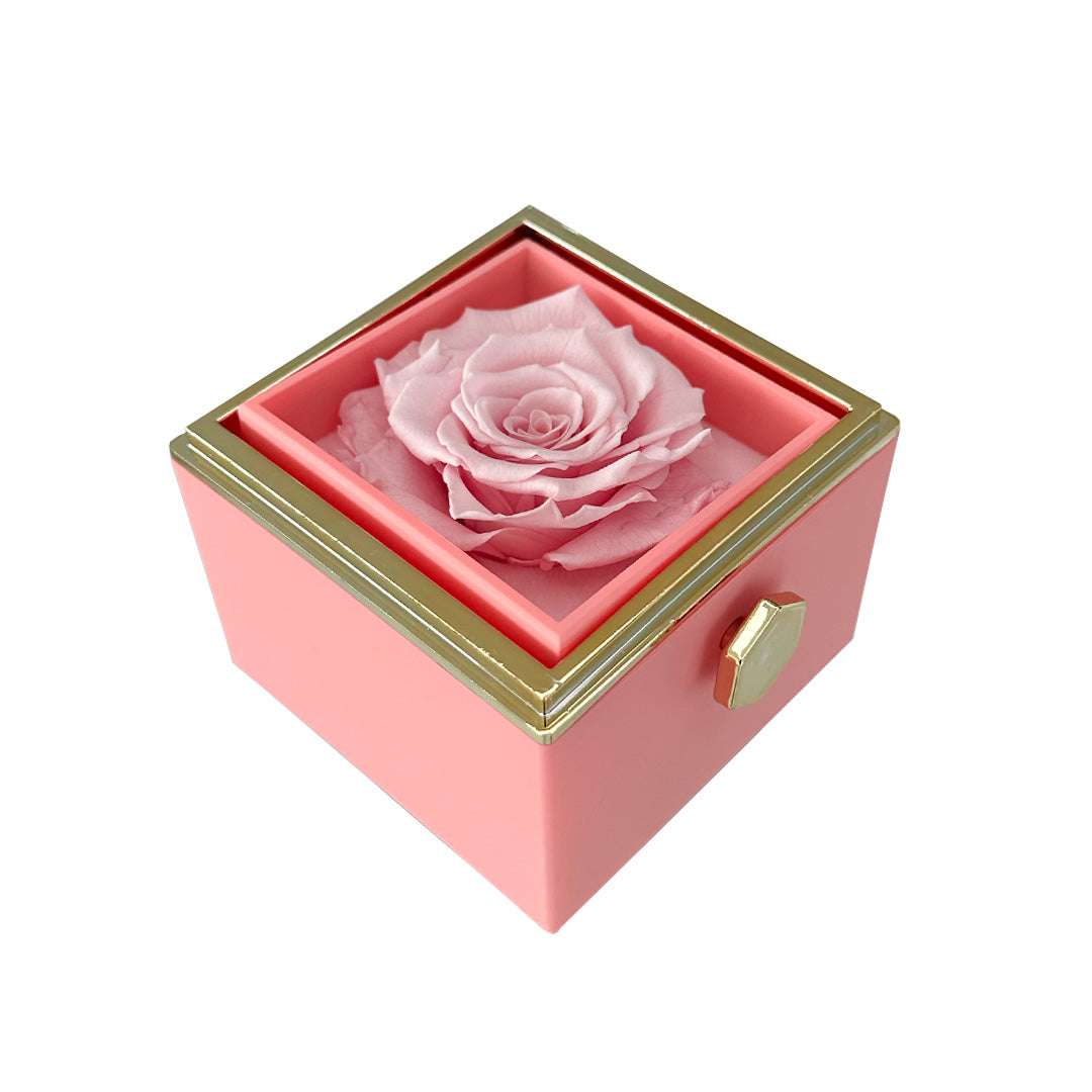 Rose and Heart Necklace Gift Set – Light Eternal Rose with Secret Love Pendant