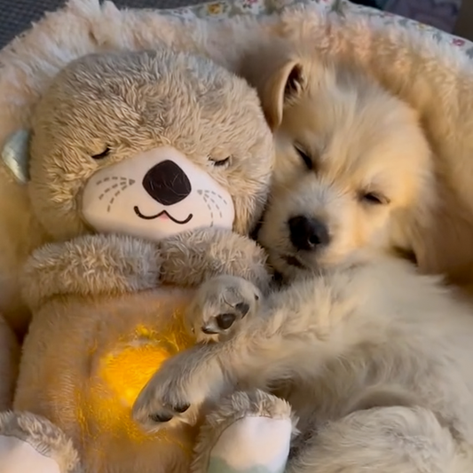 Cuddle Companion | Comfort Toy with Heartbeat Simulation