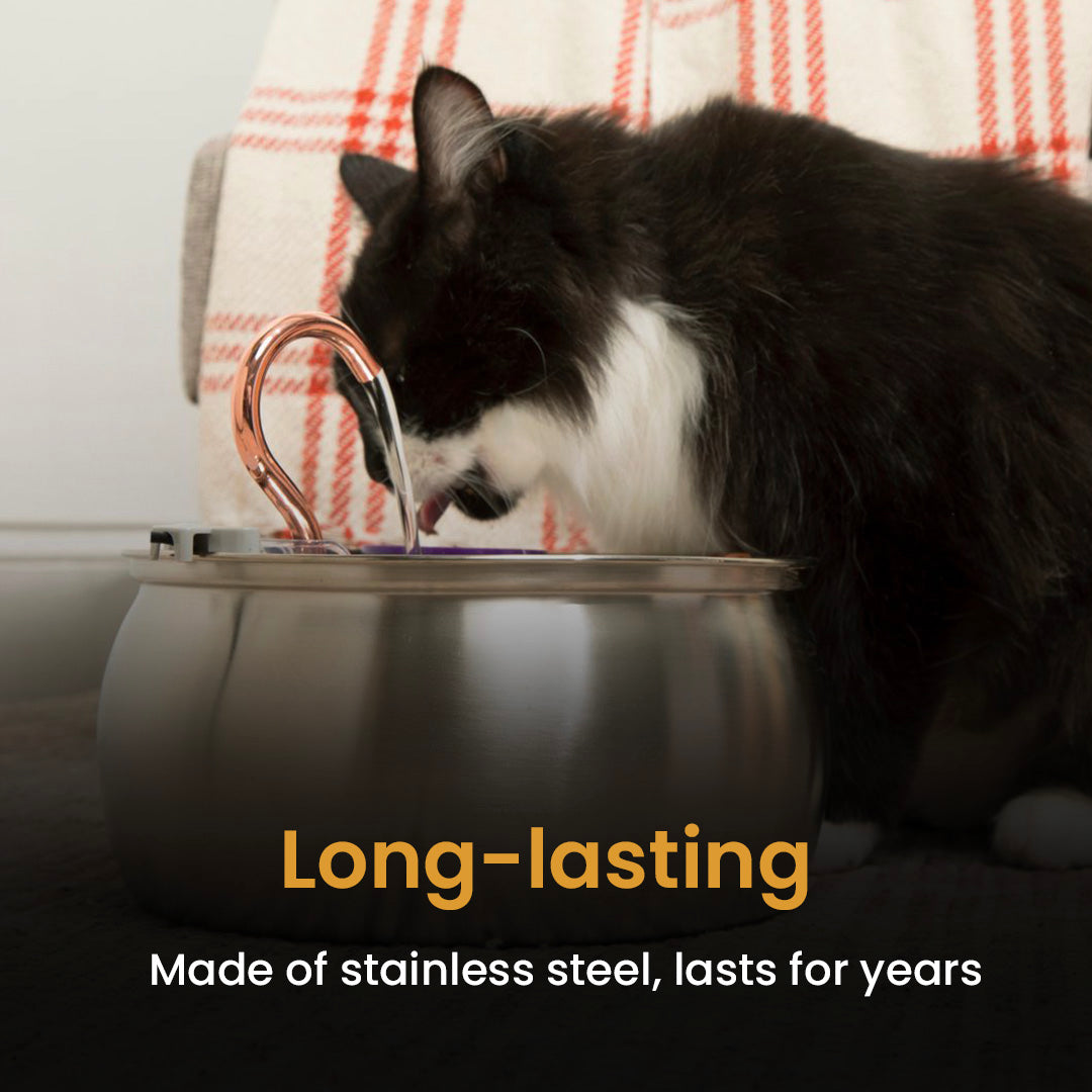 4L Smart Pet Water Dispenser with Stainless Steel Design