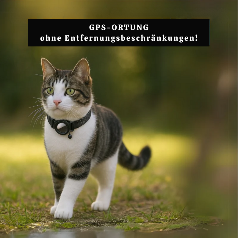 GPS Pet Tracker for Smart Tracking and Safety of Your Furry Friend