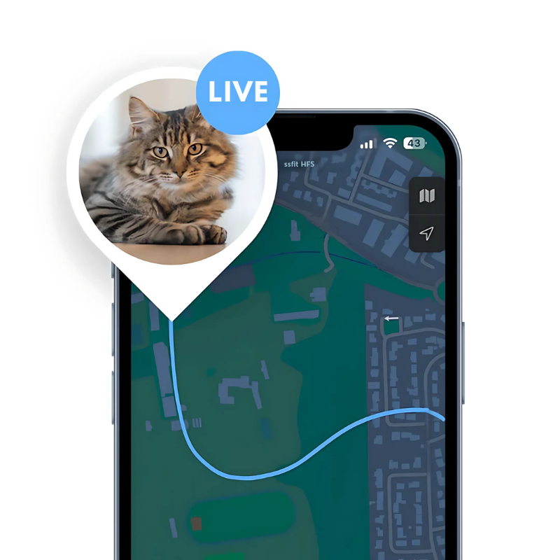 GPS Pet Tracker for Smart Tracking and Safety of Your Furry Friend