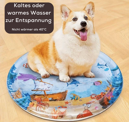 AquaPlay™ – Interactive Splash Play Mat for Cats