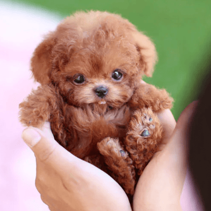 Plush Puppy Toy for Family Playtime – Moving Toy for Kids