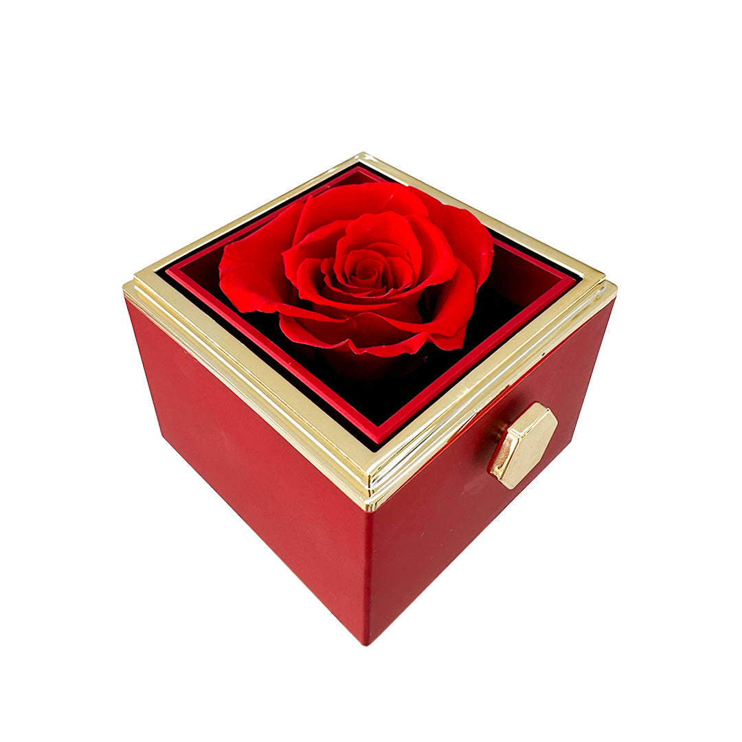 Rose and Heart Necklace Gift Set – Light Eternal Rose with Secret Love Pendant
