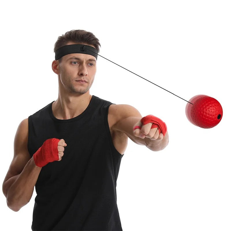 ReflexMaster Training Set | Home Coordination & Focus Workouts