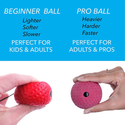 ReflexMaster Training Set | Home Coordination & Focus Workouts