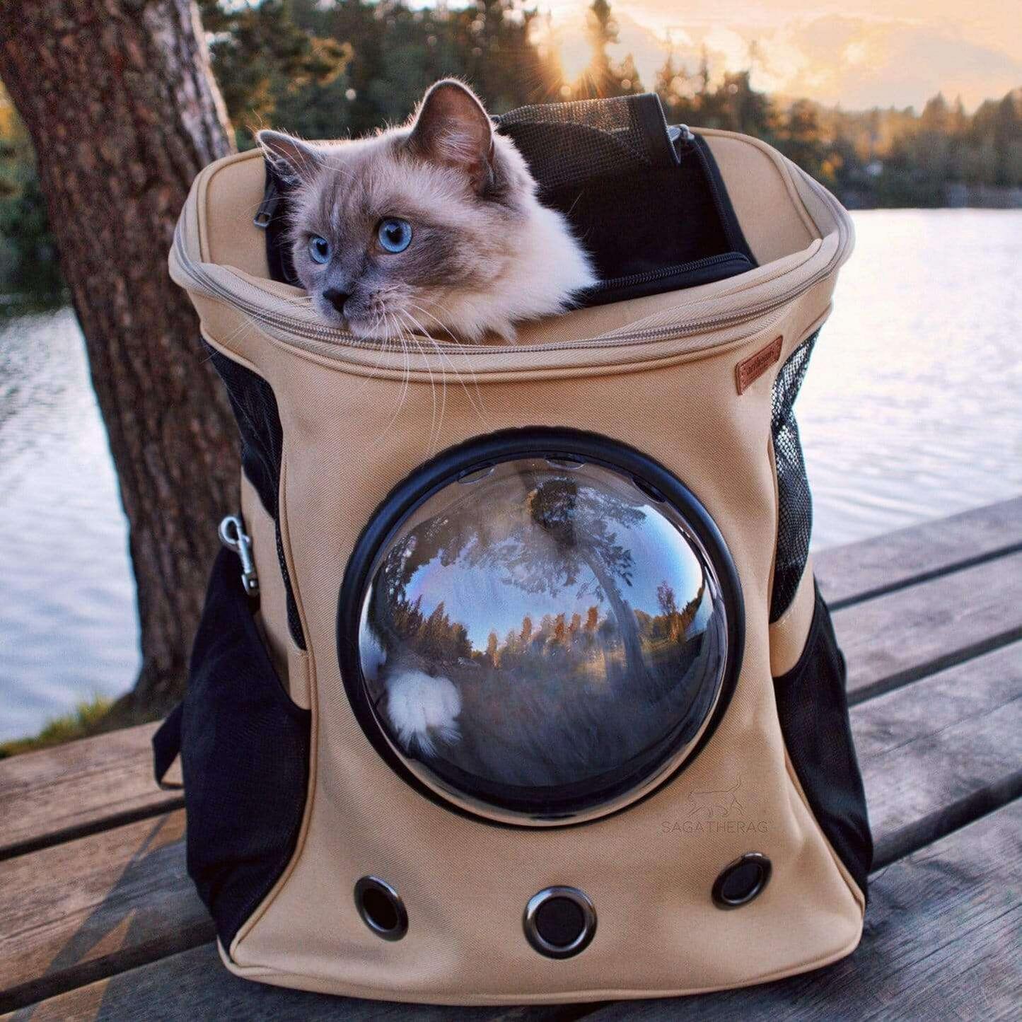 Portable Cat and Small Pet Carrier Backpack for Adventures
