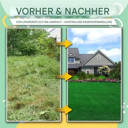 Effective Root Remover for Potted Plants – RootVanish Tool
