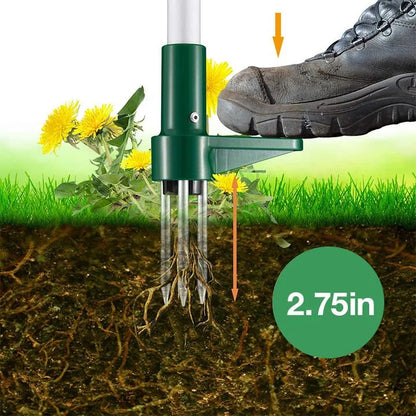 Effective Root Remover for Potted Plants – RootVanish Tool
