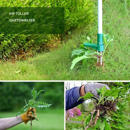 Effective Root Remover for Potted Plants – RootVanish Tool