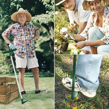 Effective Root Remover for Potted Plants – RootVanish Tool