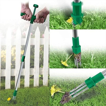 Effective Root Remover for Potted Plants – RootVanish Tool