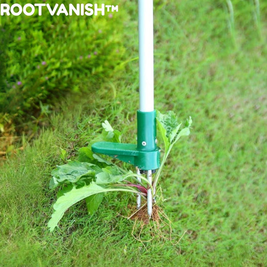 Effective Root Remover for Potted Plants – RootVanish Tool