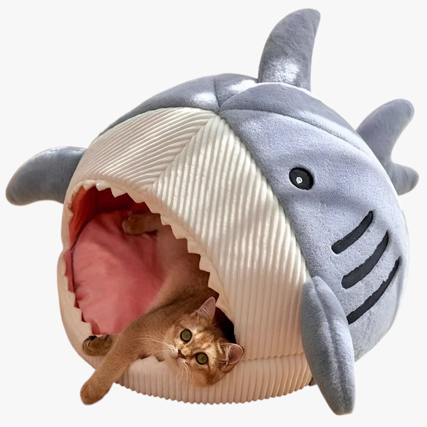 SoftBloom Shark Cat Bed - Comfortable Indoor Hideaway for Cats