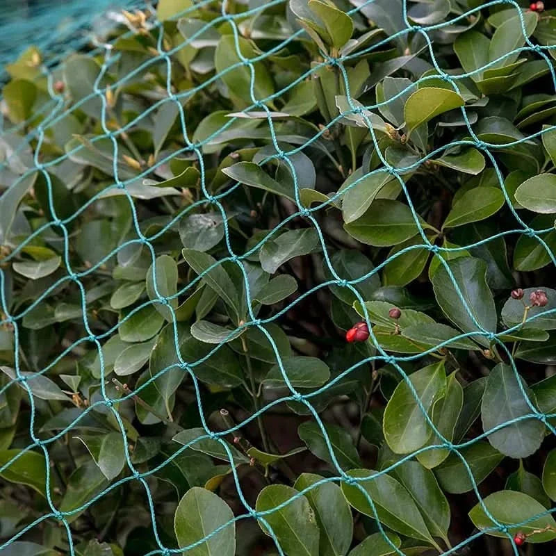 Heavy-Duty Garden Netting for Protecting Plants and Orchards