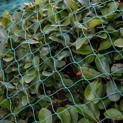 Heavy-Duty Garden Netting for Protecting Plants and Orchards