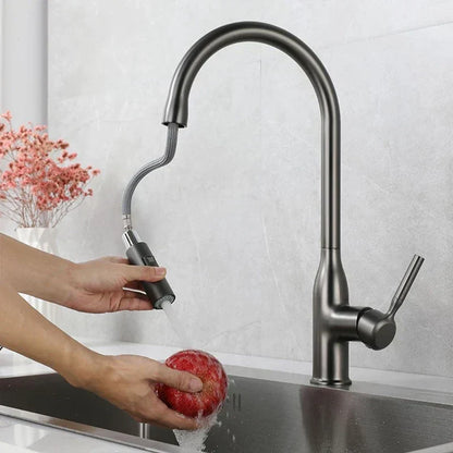 Adjustable Kitchen Faucet with Hand Shower – AquaStream Luxe Design