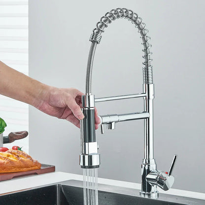 Kitchen Faucet with Dual Outlet