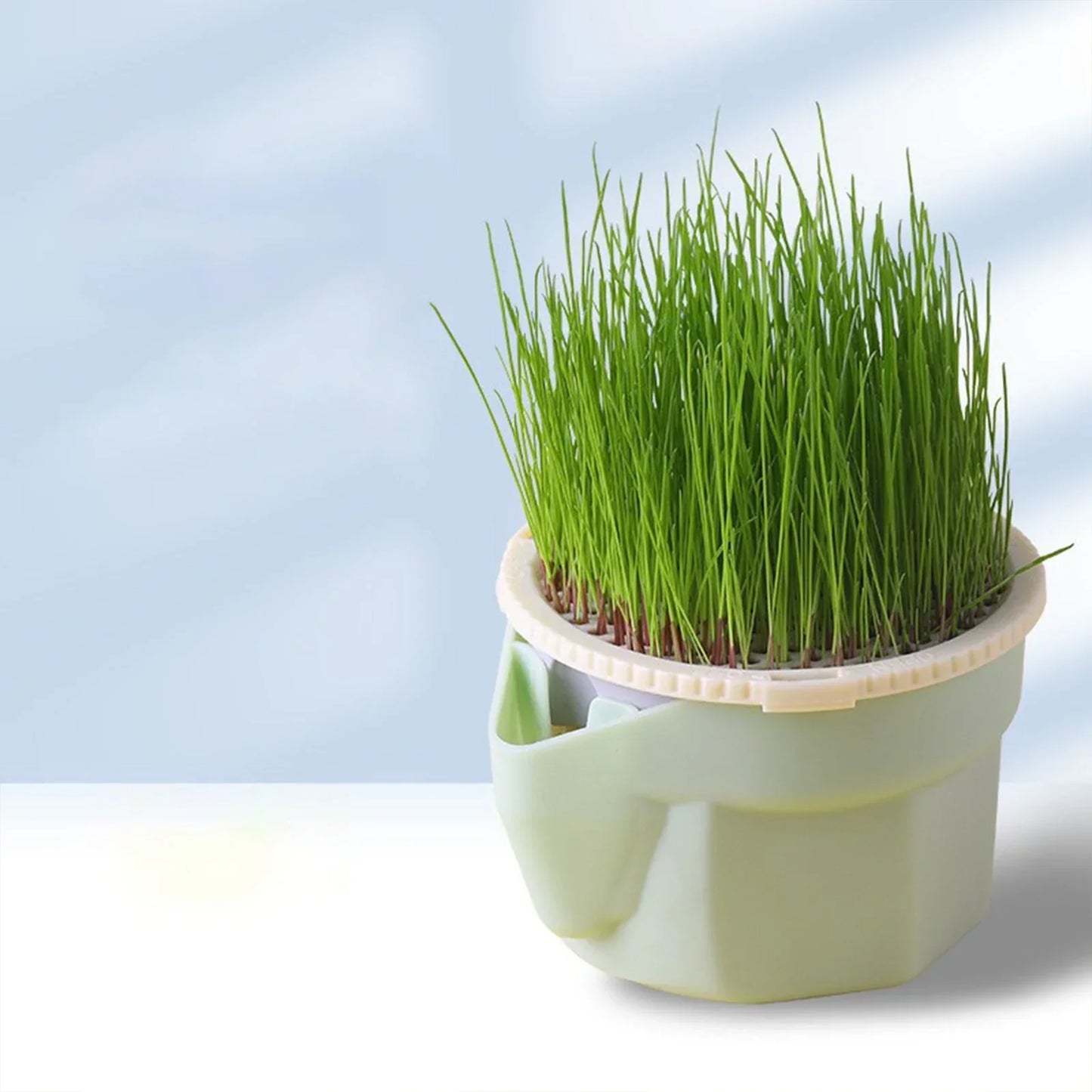 Cat Grass Cup | Soil-Free | BPA-Free & Reusable | For Sprouts & Wheatgrass
