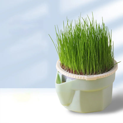 Cat Grass Cup | Soil-Free | BPA-Free & Reusable | For Sprouts & Wheatgrass
