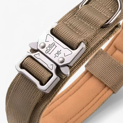 Adjustable Padded Tactical Dog Collar Set for Control