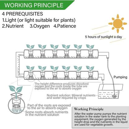 Indoor Hydroponics System with Pump & Timer - 36 Plant Spaces for Herbs & Vegetables - White