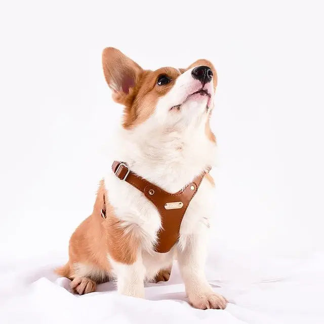 Customizable Leather Dog Harness for Ultimate Comfort