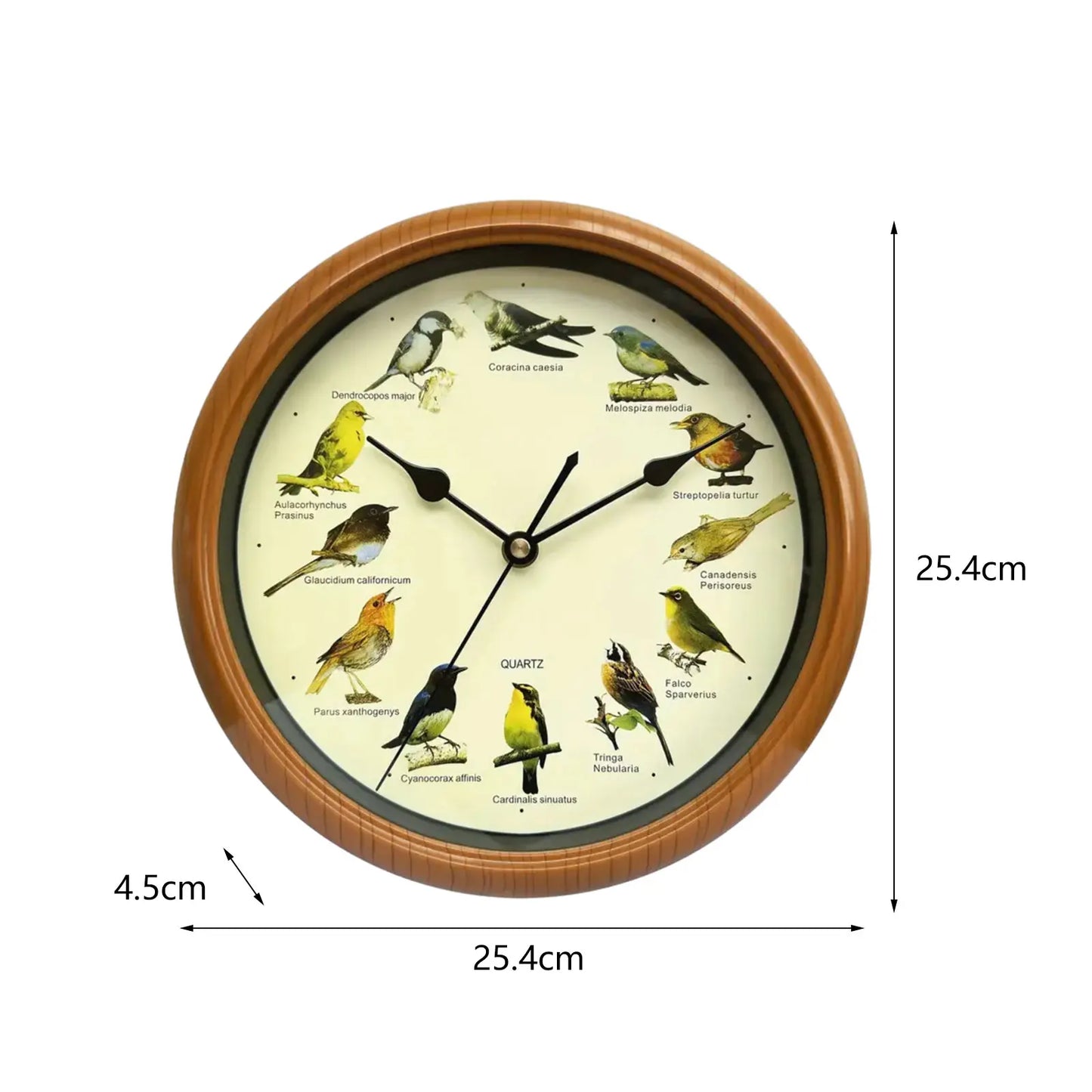 10-Inch Wall Clock Featuring Bird Sounds for Elegant Home Decor