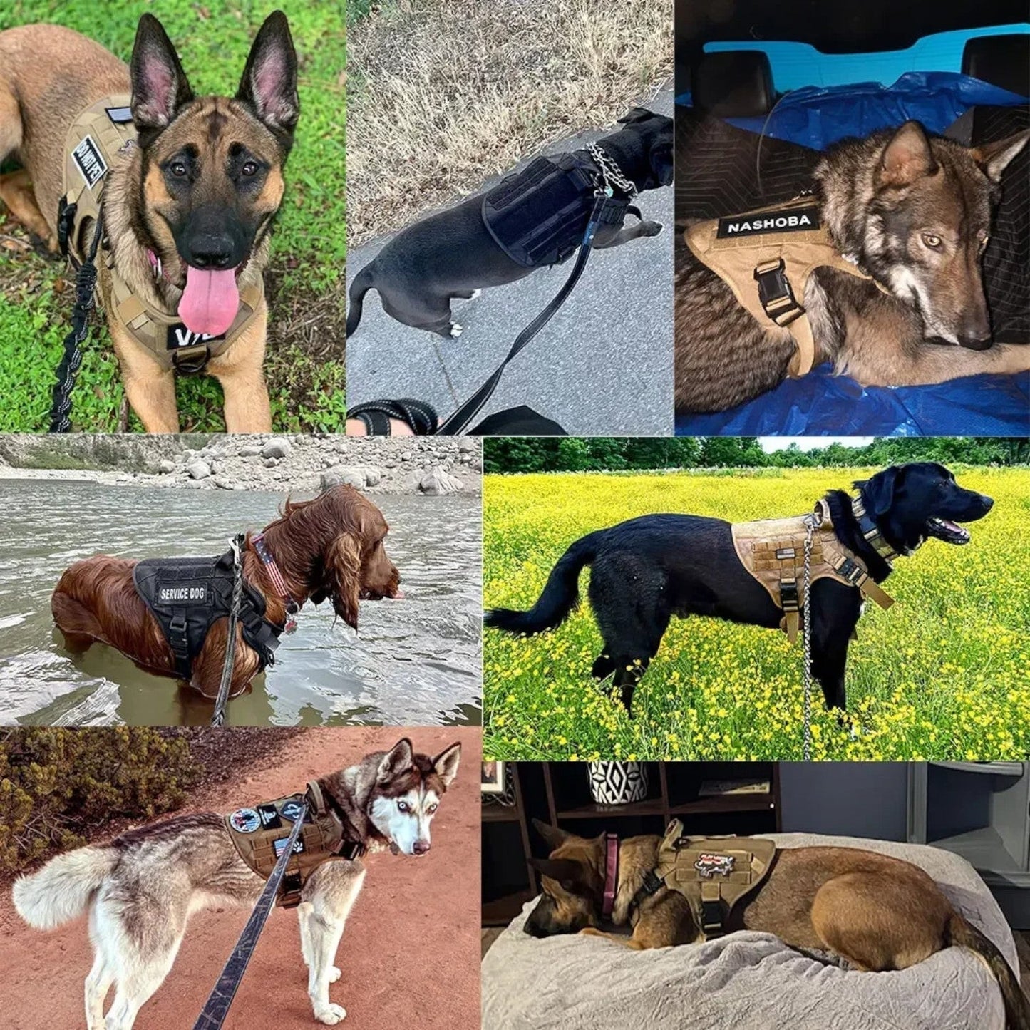 Adjustable Tactical Dog Harness for Training and Walks - KrachtGrip