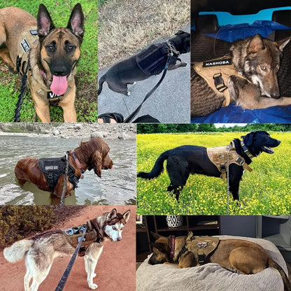 Adjustable Tactical Dog Harness for Training and Walks - KrachtGrip