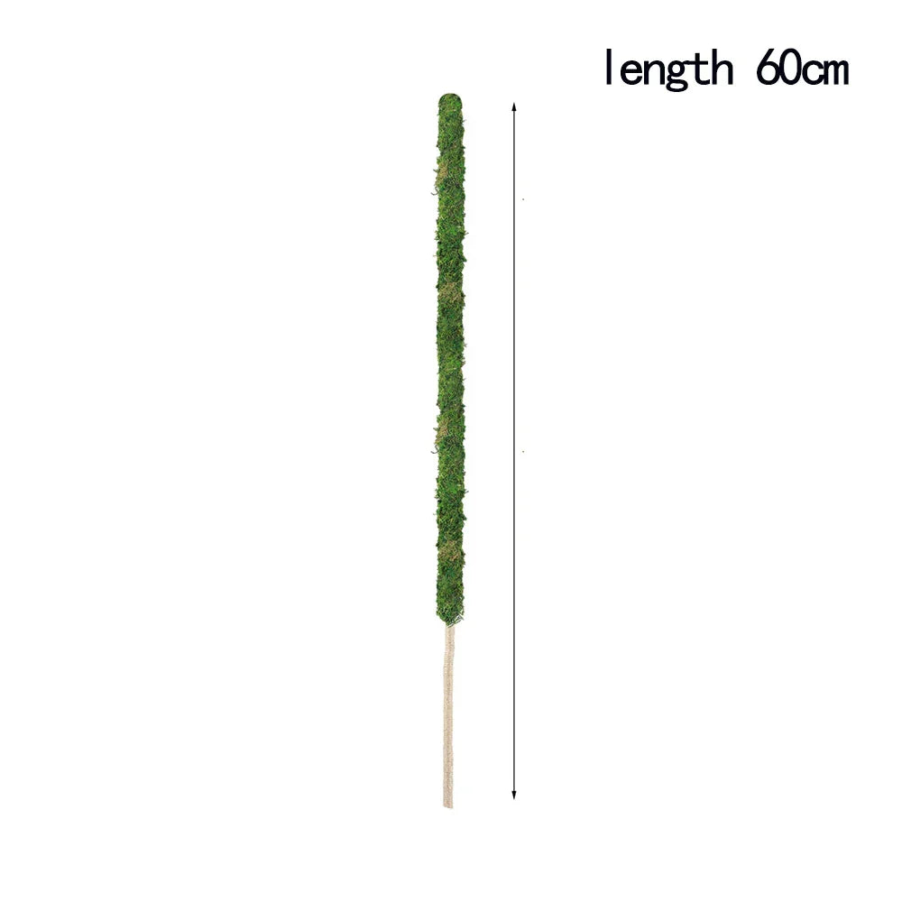 Natural Handmade Growth-Enhancing Moss Stick for Indoor Plants